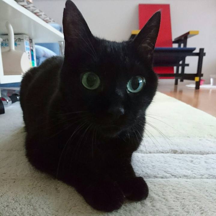 B04c5f5a 5e6f 4d59 9653 b24d17222883