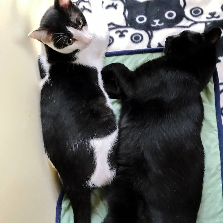 B04ca14f 5479 4663 bd87 4cf3c46d6856