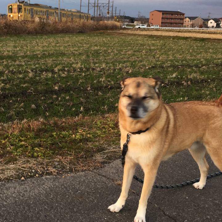 B04d4555 a26c 4997 920b bdaa182eae05