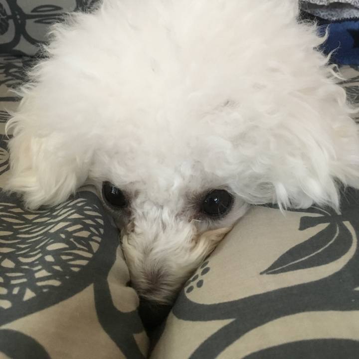 B04d46b8 44db 44f4 9279 21e9b003d66e