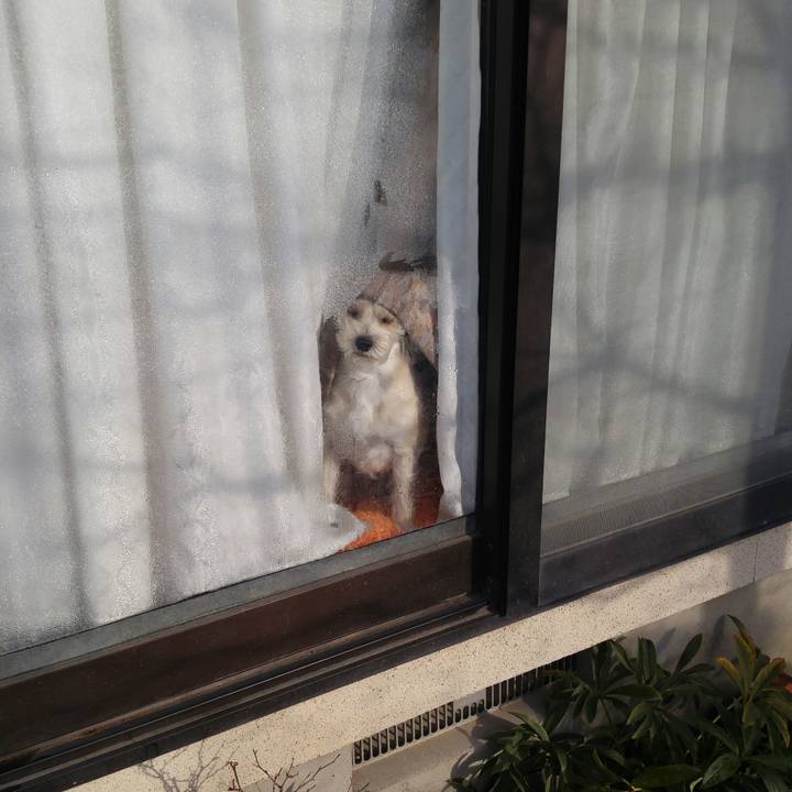 B04d926c 633e 400d a42d 082c5e3aa7dd