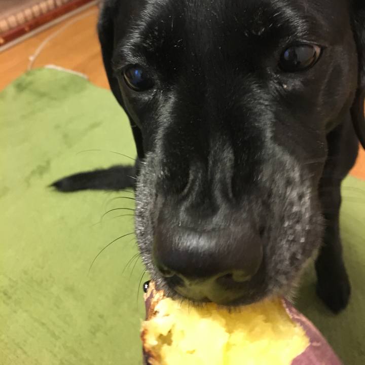 B04dfc88 26f2 4276 b2dd 9d06f7885fe9