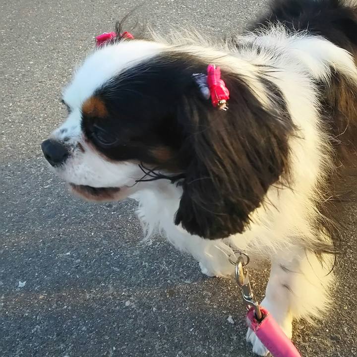 B04ec3d2 3f54 4d09 8405 e41166d769b7