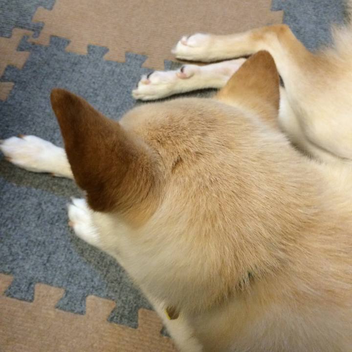 B04f97c2 97e9 46ac 90b7 57162ac8d4eb