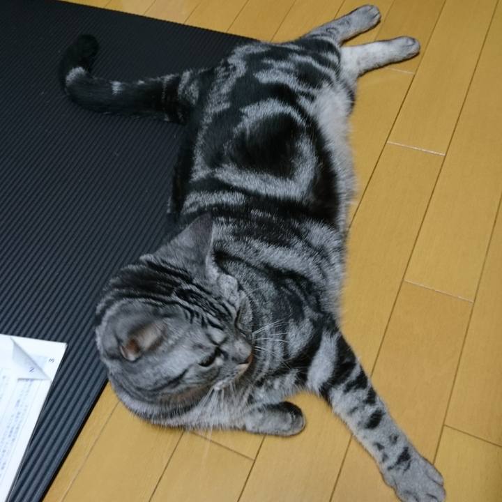 B0505965 f951 4b0d 9493 741e76fcc9c0