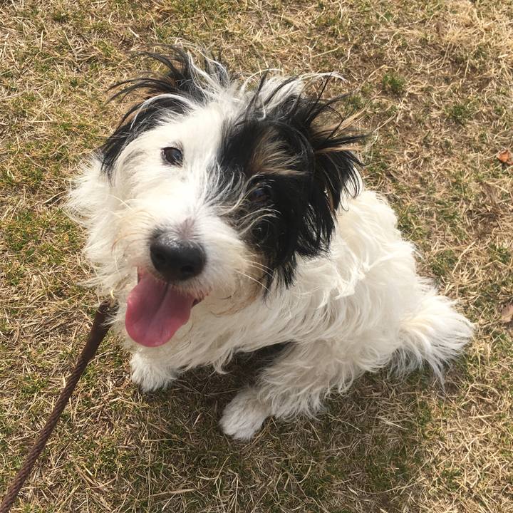 B051211e 4314 4f2b 8a29 a466ae52f1e9