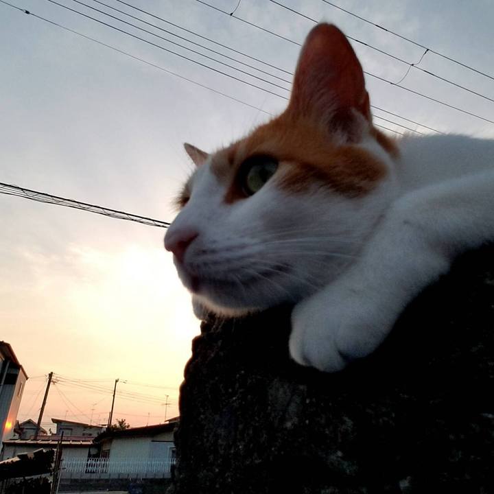 B0516f3b dc6c 4d44 86db 666f39d7cf79