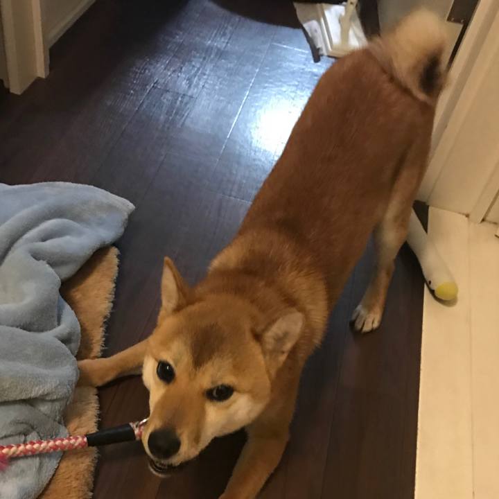 B0517166 9304 4bf2 ae06 bede3937c655