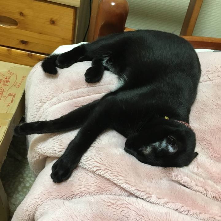 B0528358 7286 487d 812f 0a476f854789