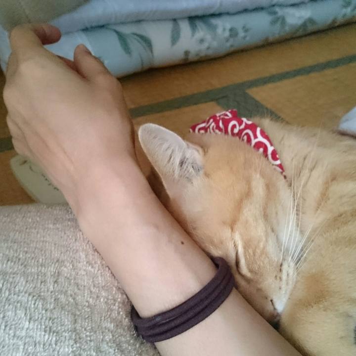 B0528453 7e5e 44f5 be63 95b90b1ec516