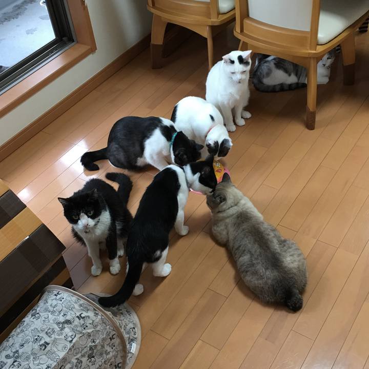 B0529335 d986 43e3 9f36 db69f3622d0e