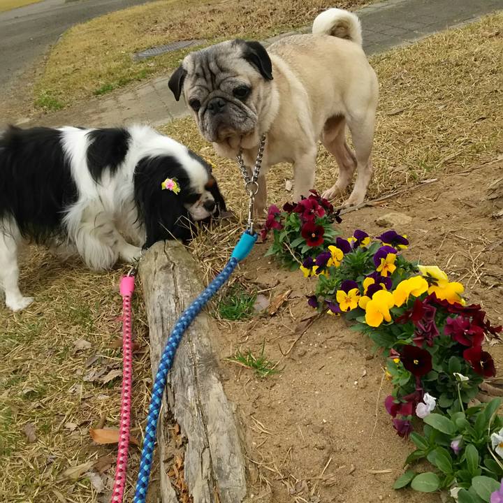 B052f8ad 8ff8 46ec aac5 dd948f59ac1e