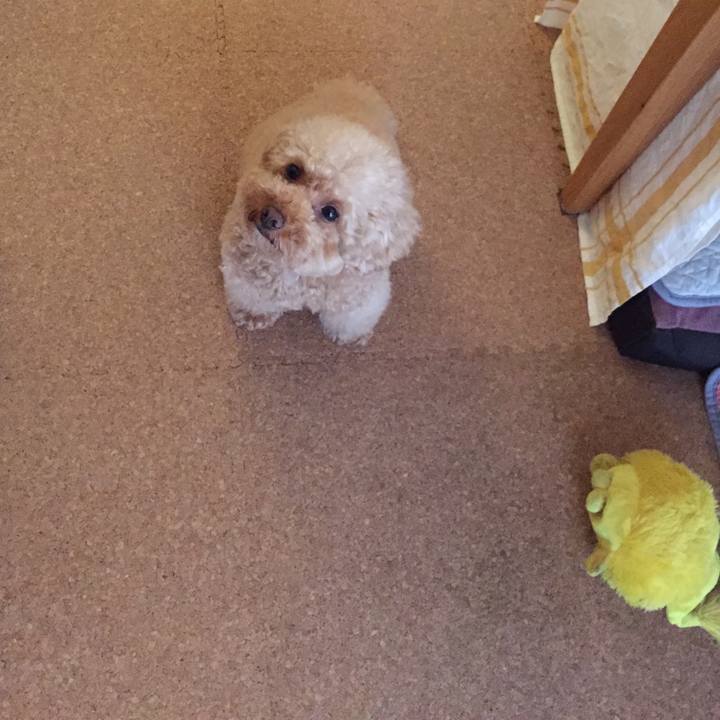 B0532814 92d2 4a03 89cf 76aa4df55007