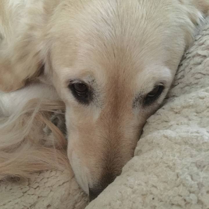 B053a47d 0626 4c05 8b46 7ef261042bc9