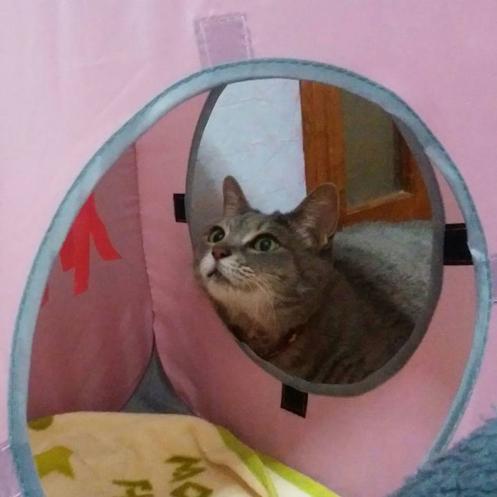 B0540333 b714 4c8b 9b6b f9554026295f