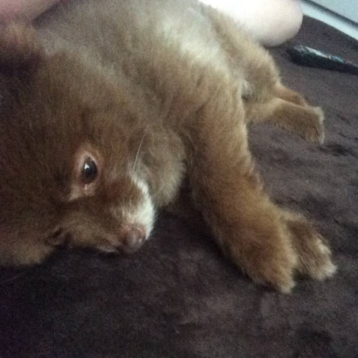 B0542c92 1a26 4902 b68a 6ee3f57d12b3