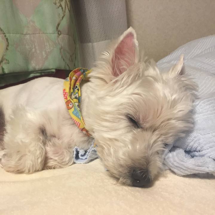 B054f3c6 e641 4ae0 8a71 6c3195deece2