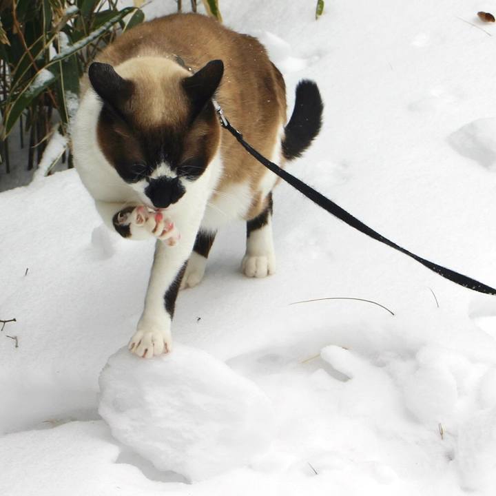 B0553fe4 42f5 4232 af0b cb2ef0860079