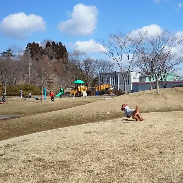 B055495b 6029 425d b93b 119128b61963