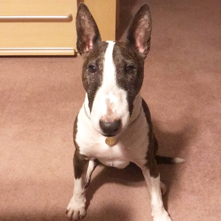 B0557c63 aecd 4412 a60d 04d0fd3aec4a