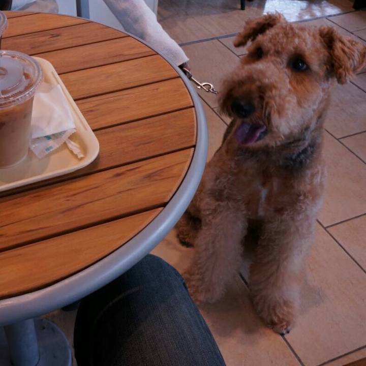 B0559c00 90ec 4dd5 91c4 85a42911b381