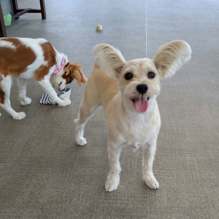 B056ba0c 3078 4a43 a942 ed9d0dcb08cd