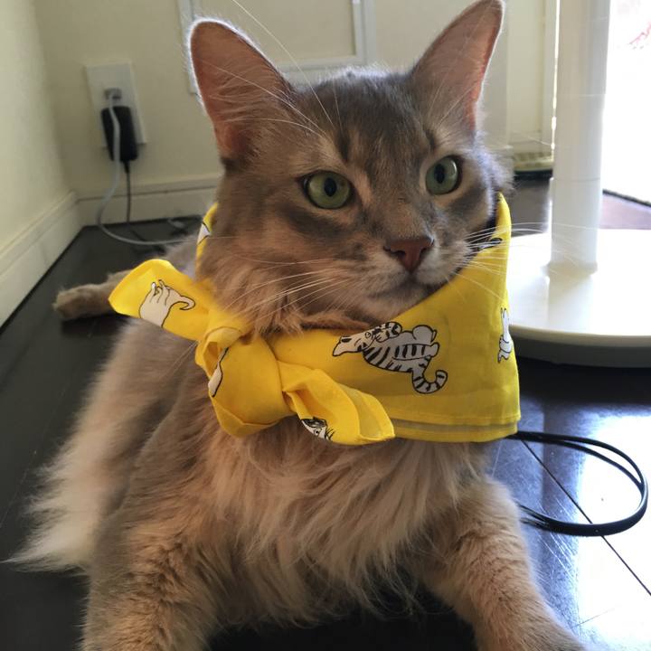 B0579896 59e4 461e 9962 475c3207631a