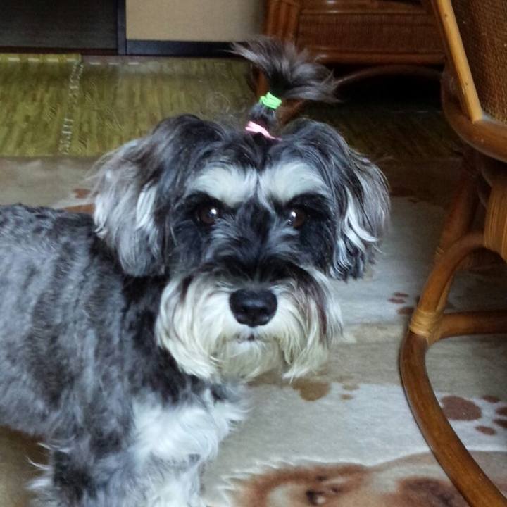 B058b0cd a24f 494d abef 809c3407484a