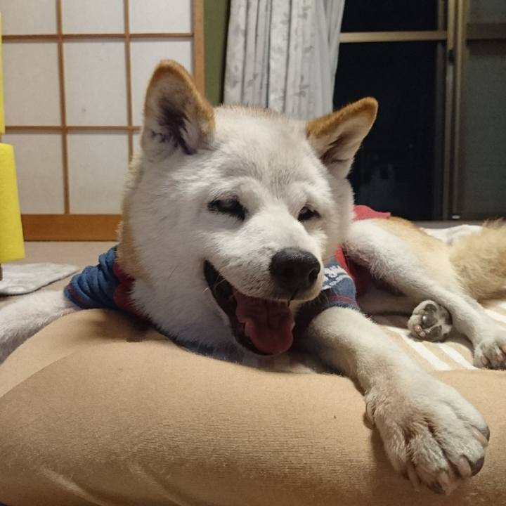 B0594cf4 9890 40cc bac8 ed62930a0d82