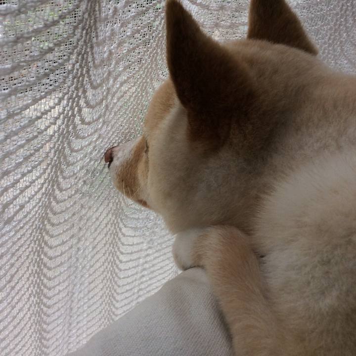 B05a093d bc00 4cc8 8ab9 5924e1739976