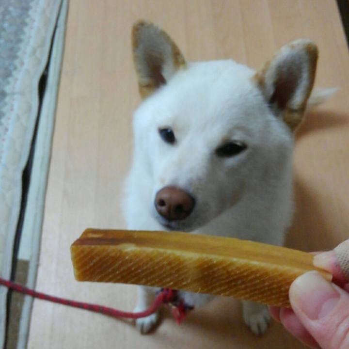 B05a4c2d dbfc 453a 9b1c 512a0dcfeea2