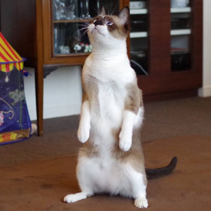 B05ae23c 7afd 40e8 89b7 5f2c2e0ebfa0