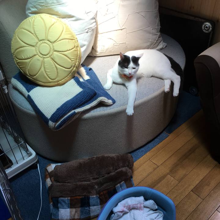 B05b1f0e ea1e 4000 8d46 5685acb19dfc