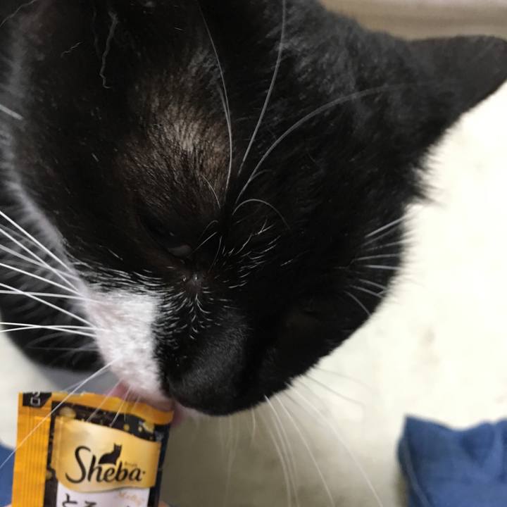 B05bd5a6 2c9f 47c1 accf 8ae040b6531e