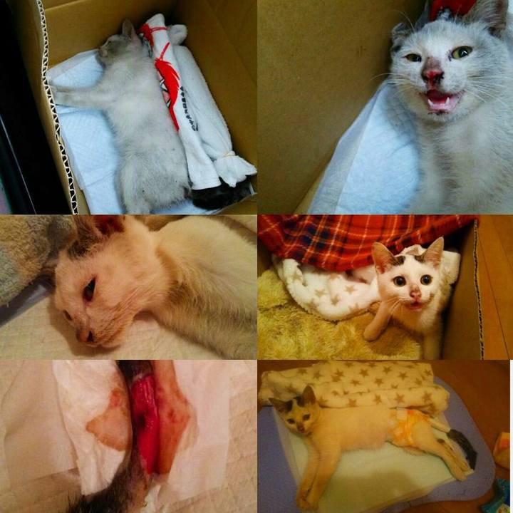 B05c330a 9b2d 40fd b219 c53a22df8731