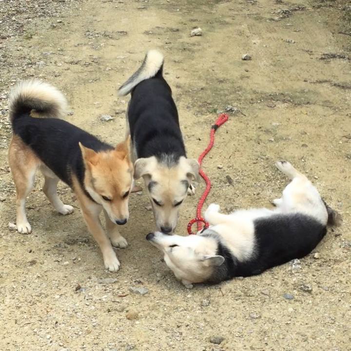 B05c5d0c 894d 43b3 9972 5a9ccbbbec55