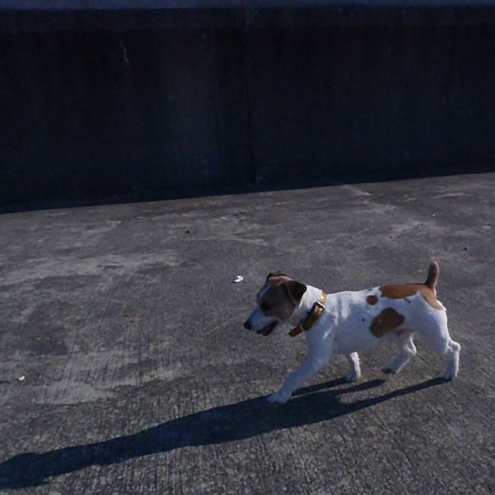 B05cc1d7 d92e 45eb b39f 313ff55a6465