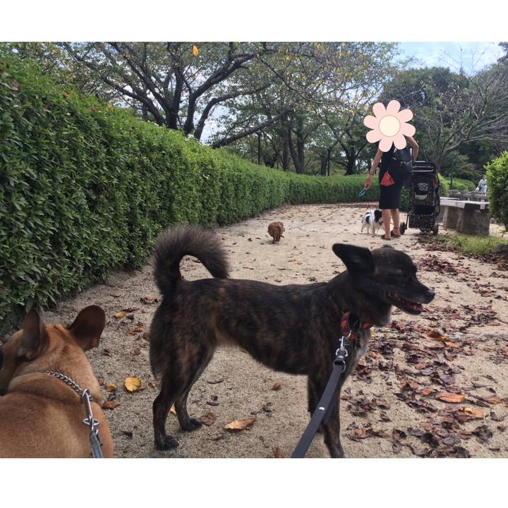 B05d177e 80db 432c 9bdd e6b887db3516