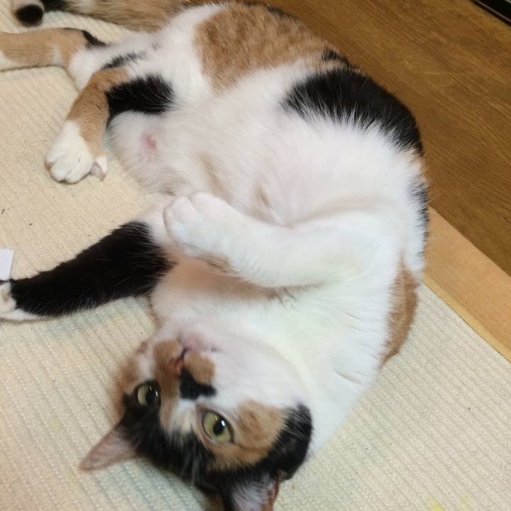 B05e6bf4 7a8c 4321 8fa0 8f4f522efb17