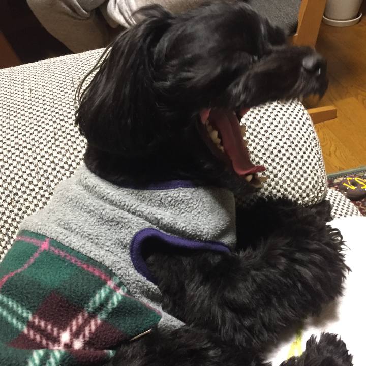 B05efa3e 313b 41c6 b94f 8a4140af6581