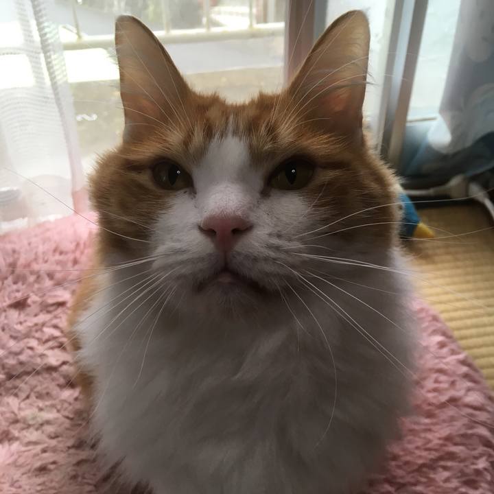 B05f0ea4 586d 45a4 a6a5 79fb67d42225