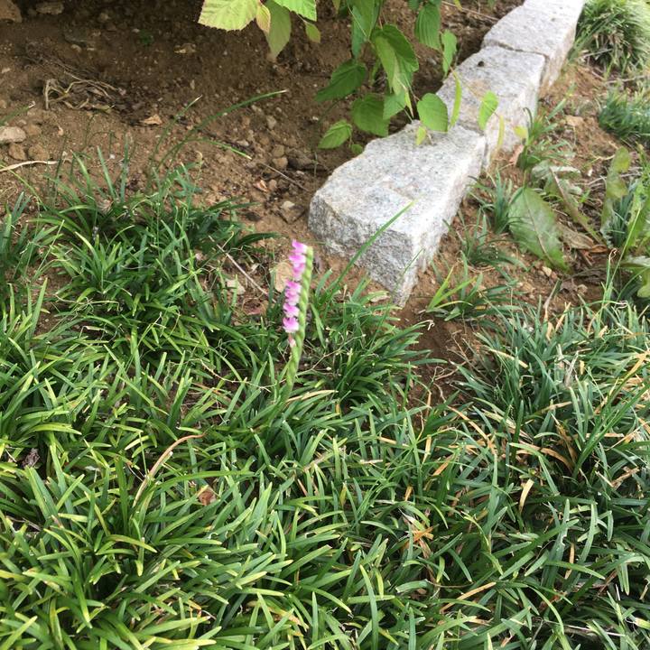 B05f5878 b67b 452f ac07 9022624df804