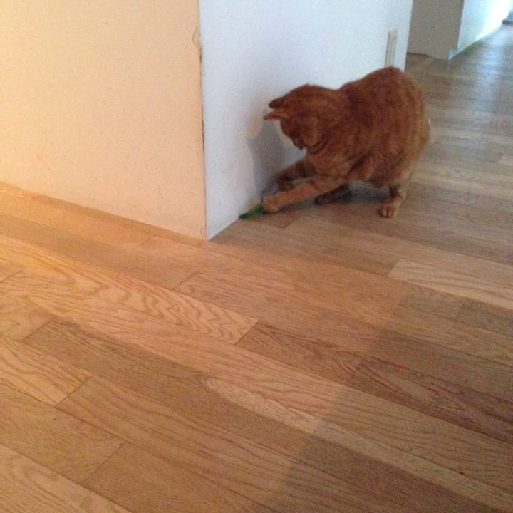 B05fa074 7eda 471b bf11 57c00ff9139a