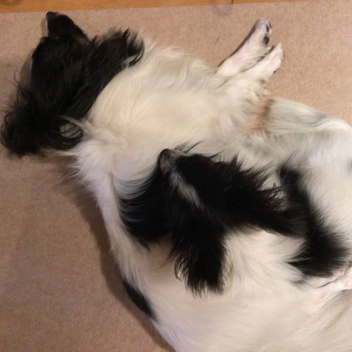 B05fff9c 360c 4a9b 9dec 1d21542772ad