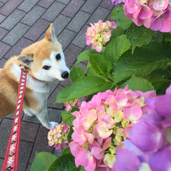 B06080f9 9123 46ca 9264 35b16258e34d