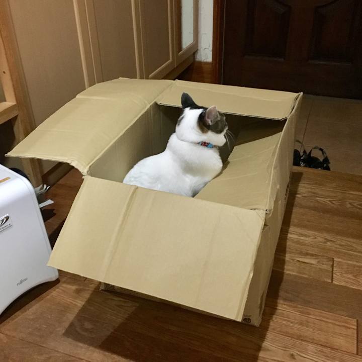 B06093a4 5fb7 4c28 a805 ca83fe4608b3