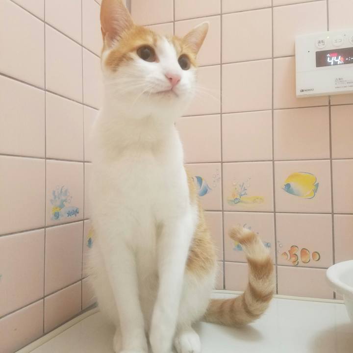 B06198c5 91bb 4e34 93af d9ece6cc4411