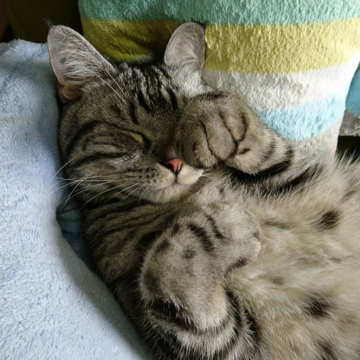 B0634e33 5bdb 49c8 94ae 373a046ba46d