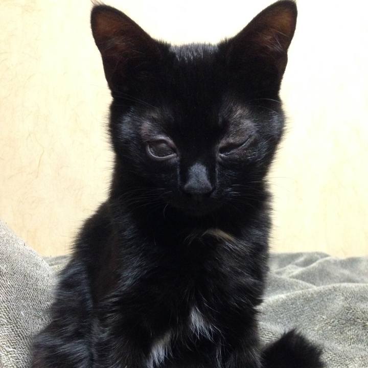 B063f42c 07bb 498f b47d c6a3881c14ff