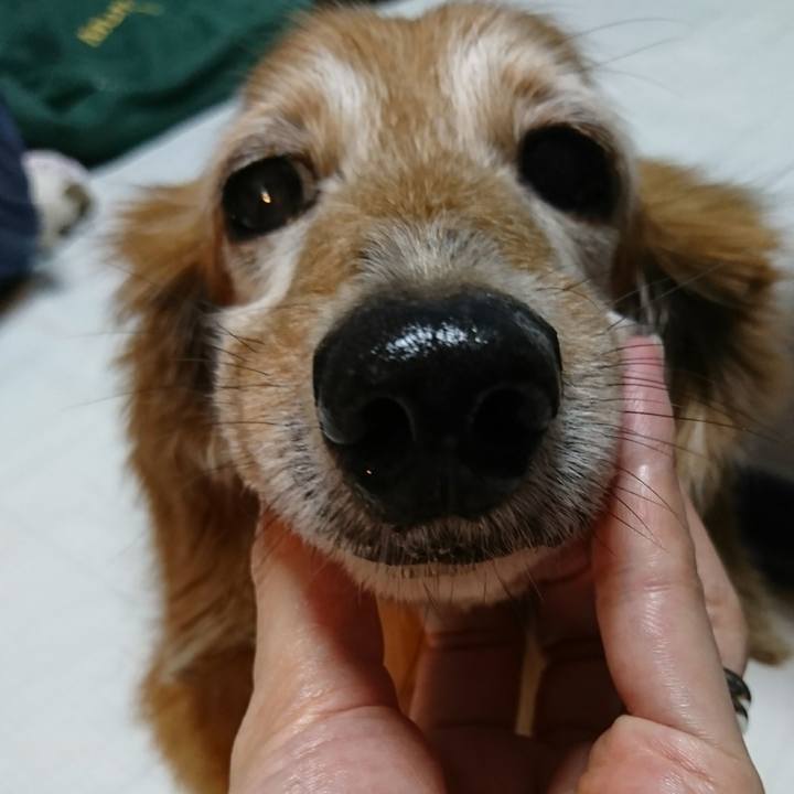 B0644eab 4399 42b6 8bf4 e80ee05bde97